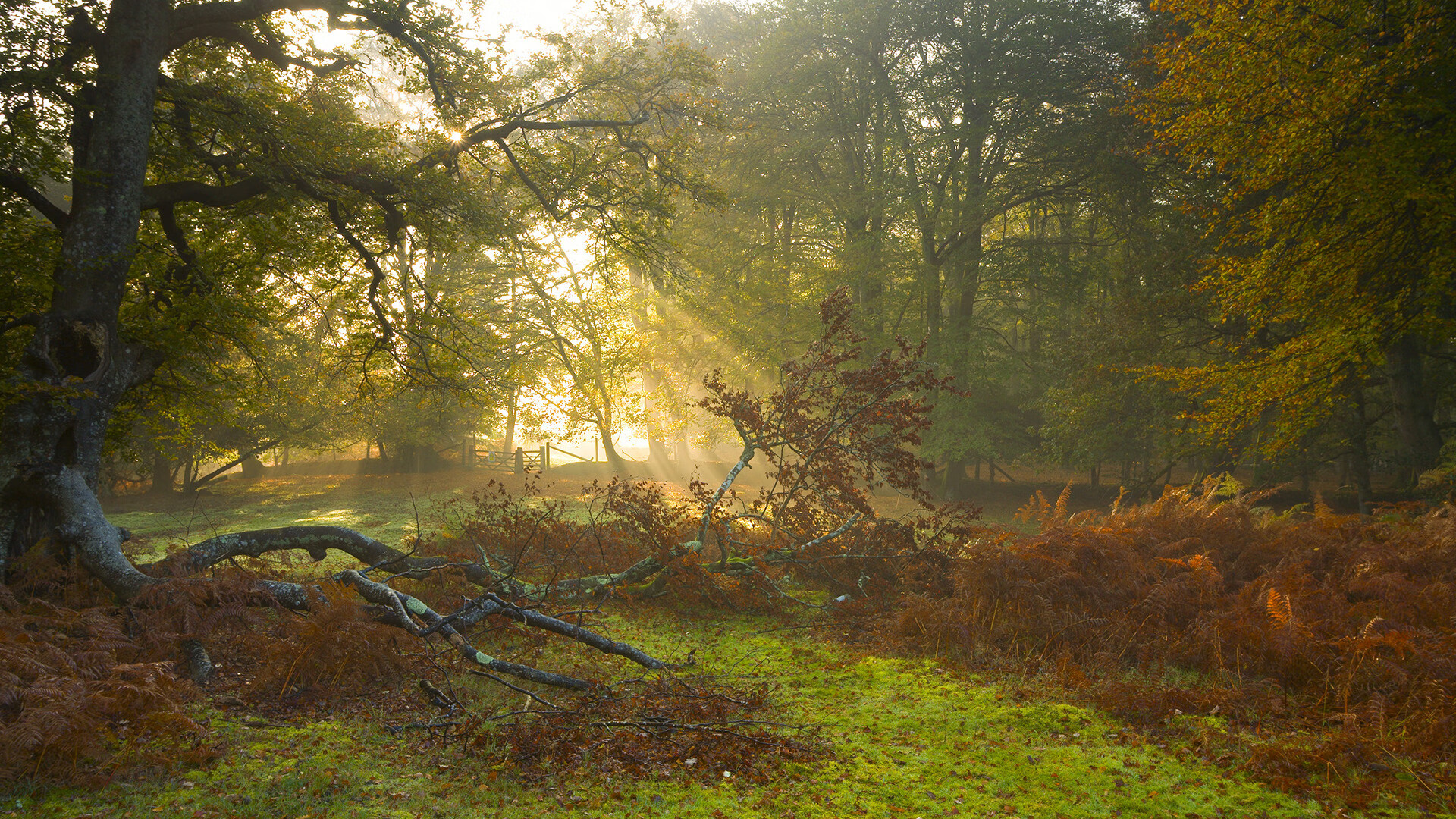 星空体育娱乐-埃弗顿是否能改善进攻端创造力，埃弗顿吧