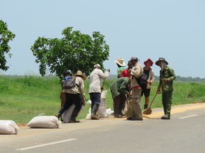 星空体育app官方下载-全国青少年团队合作跳绳赛激烈角逐,中国青少年跳绳最厉害比赛视频