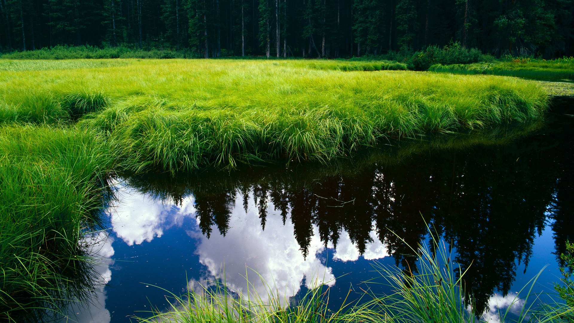 星空体育入口-CBA联盟探索篮球产业链发展新模式，cba发展现状