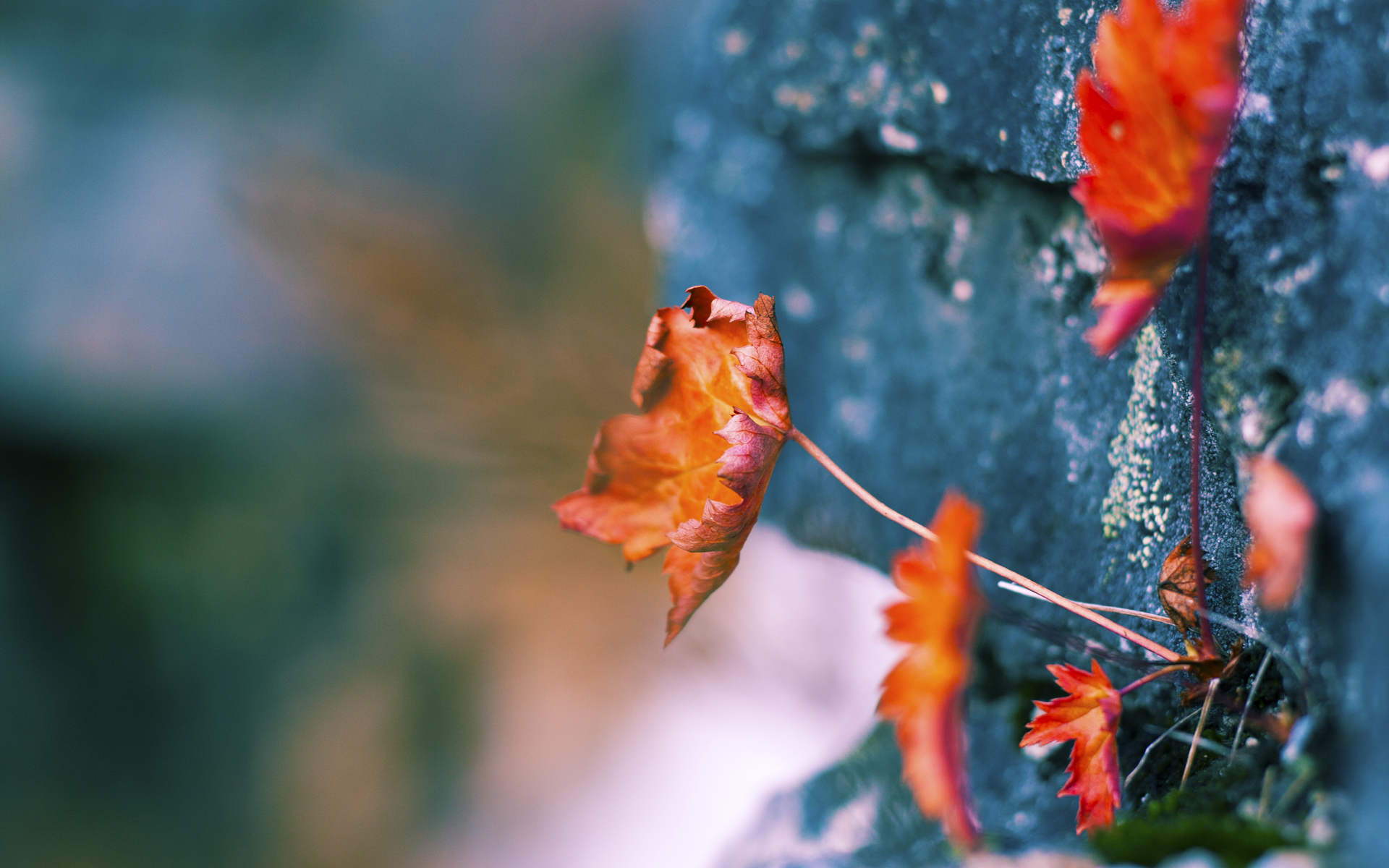 星空体育入口-国家体育总局与地方政府签署奥运备战合作协议，国家体育运动总局局长