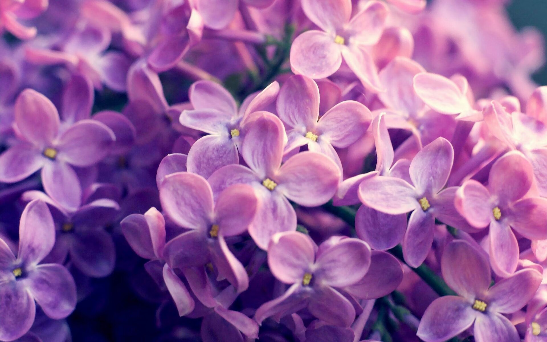 星空体育官网-埃及赛制解析：创新机制如何助力球员成长，埃及的比赛