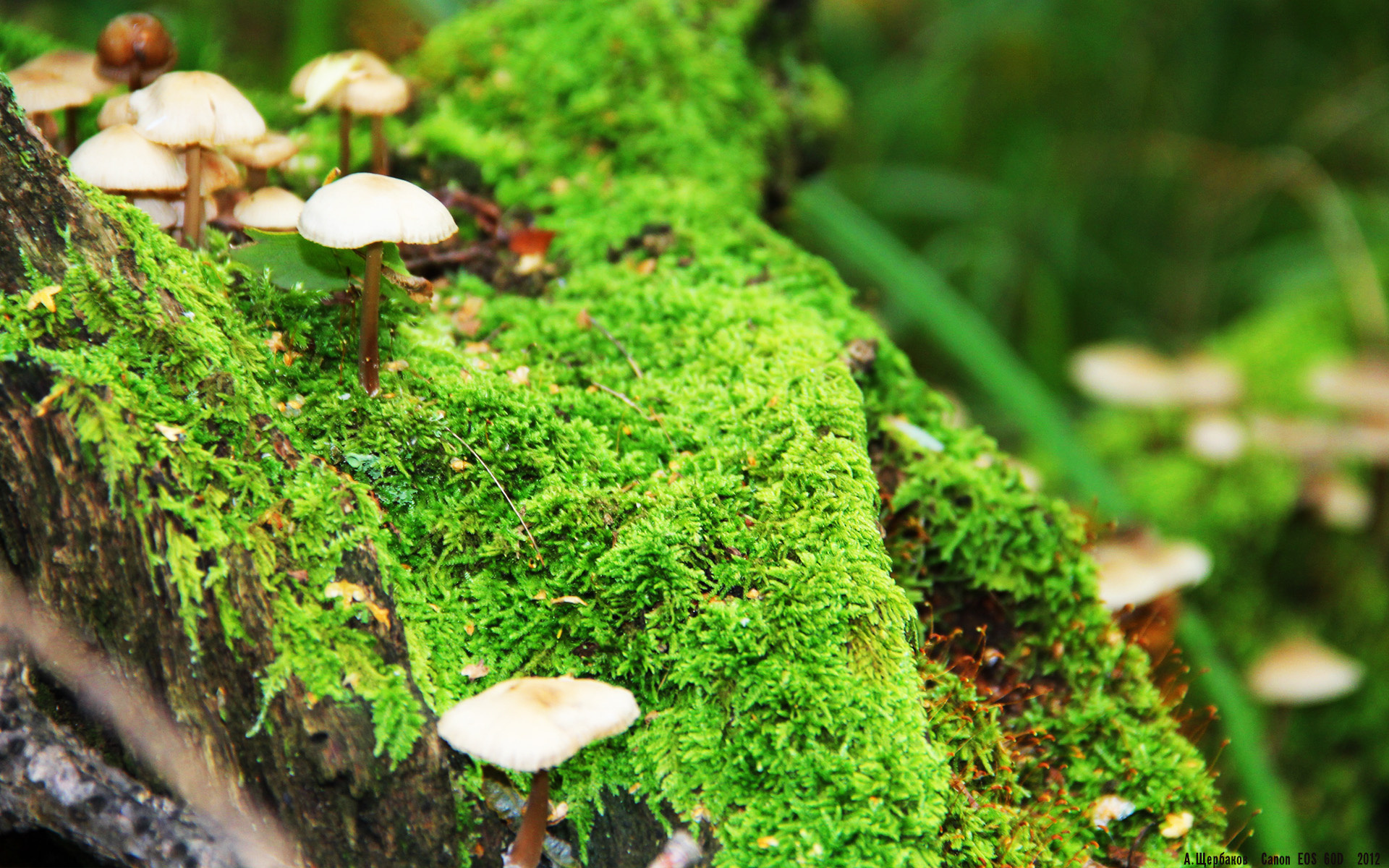 星空体育首页登录-全黑队依靠精准的传球和不断突破,取得优势,全黑队服