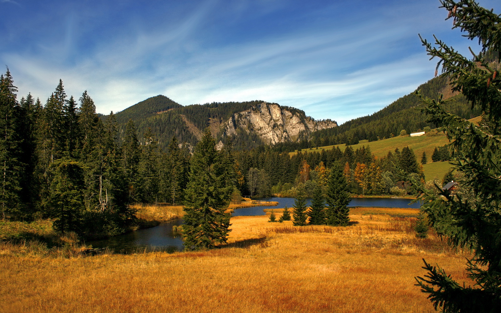 星空体育网站安全-未来智能足球场馆将实现全场物联网连接,提升管理智能化水平,智能球场管理系统